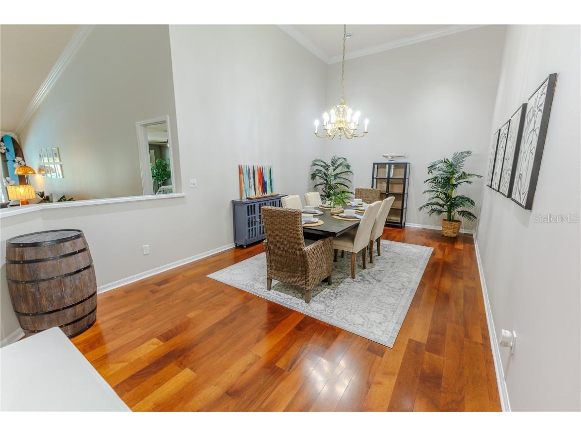 17519 Tally Ho Court Odessa FL 33556 U8254901 image9