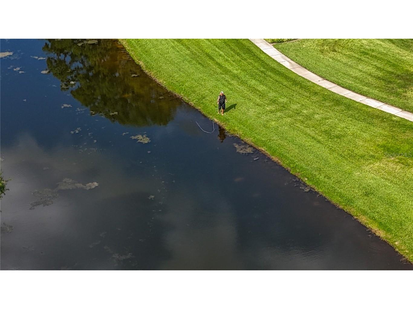 17519 Tally Ho Court Odessa FL 33556 U8254901 image92