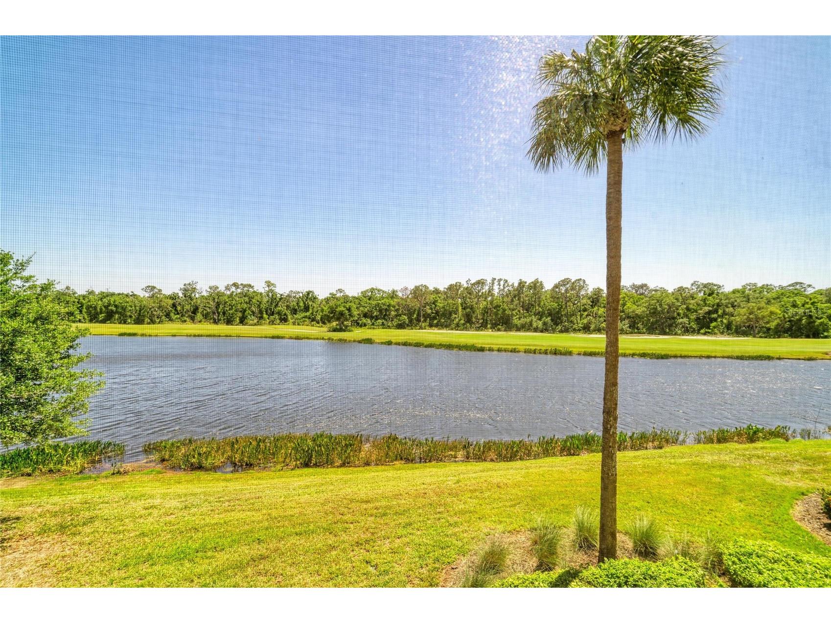 17520 Gawthrop Drive #202 Lakewood Ranch FL 34211 A4690962 image33