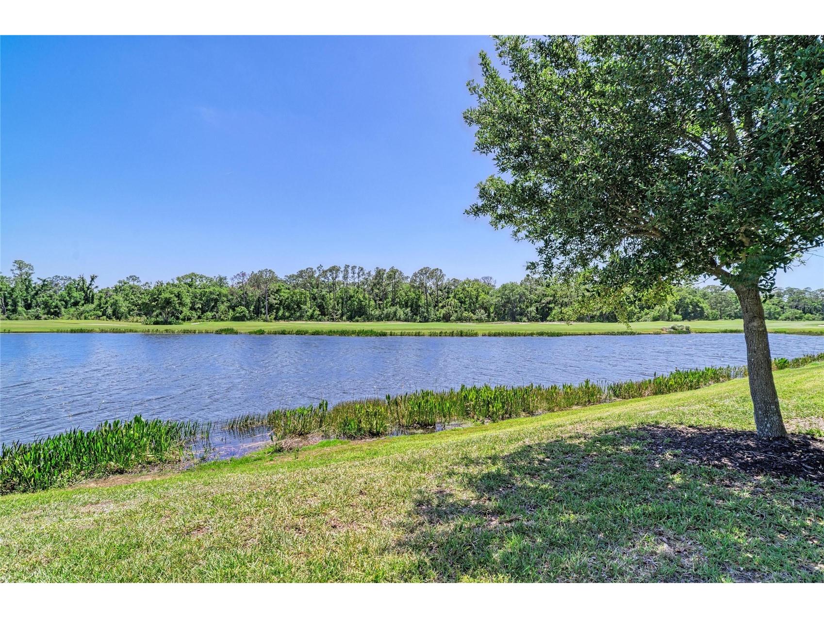 17520 Gawthrop Drive #202 Lakewood Ranch FL 34211 A4690962 image36