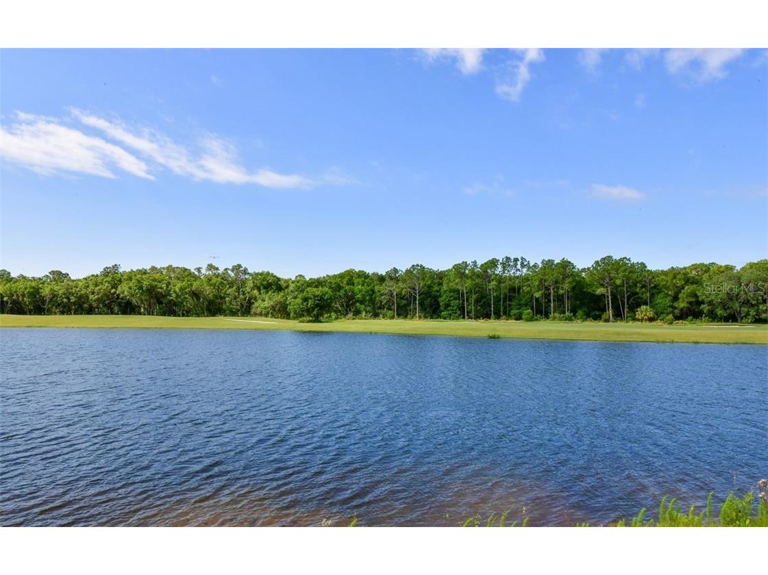 17520 Gawthrop Drive #203 Lakewood Ranch FL 34211 A4465678 image32