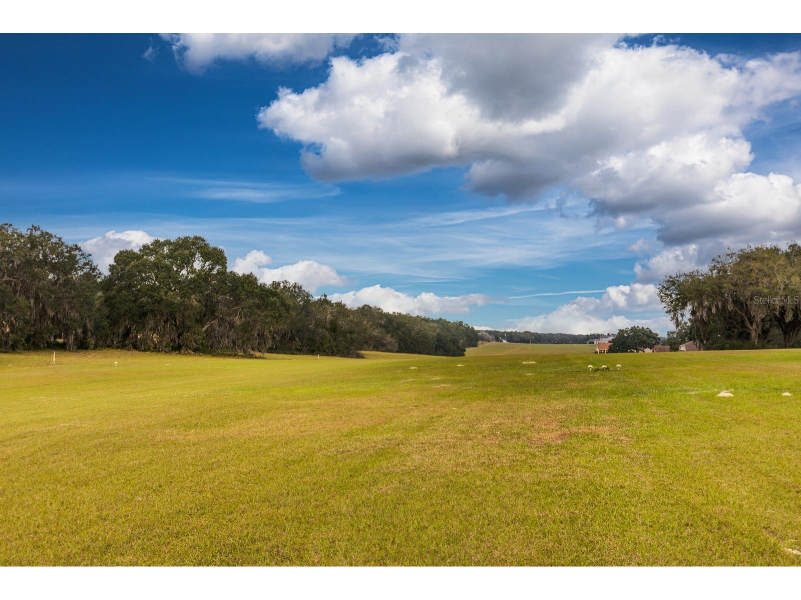 17520 SE 159th Terrace Weirsdale FL 32195 G5106092 image10