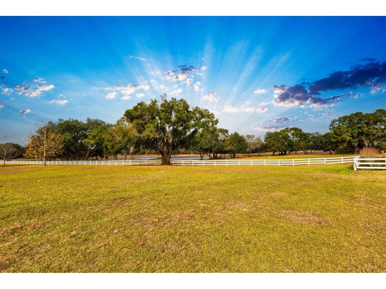 17520 SE 159th Terrace Weirsdale FL 32195 G5106092 image6