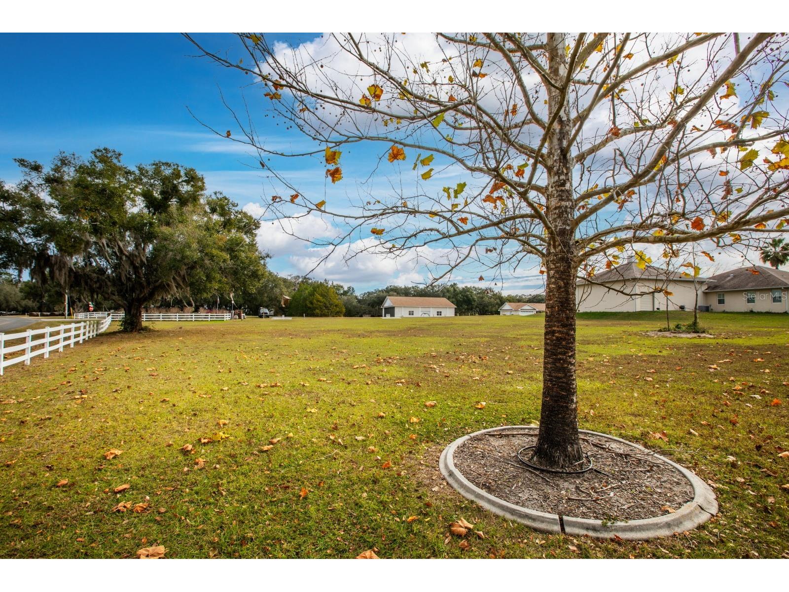 17520 SE 159th Terrace Weirsdale FL 32195 G5106092 image9