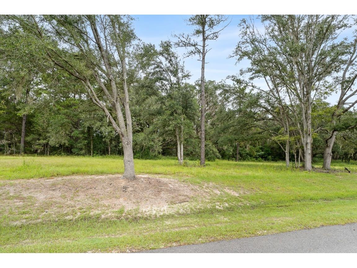 17520 SW 11 Court Newberry FL 32669 GC524797 image5