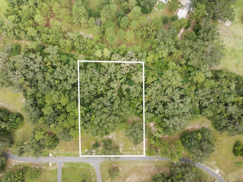 17520 SW 11 Court Newberry FL 32669 GC524797 image6