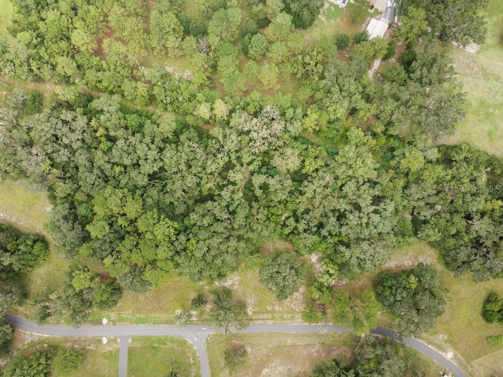 17520 SW 11 Court Newberry FL 32669 GC524797 image9