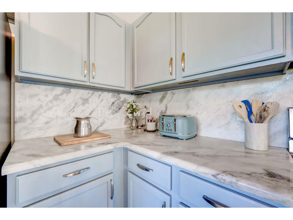 17521 Blessing Drive Clermont FL 34714 TB8441067 image10