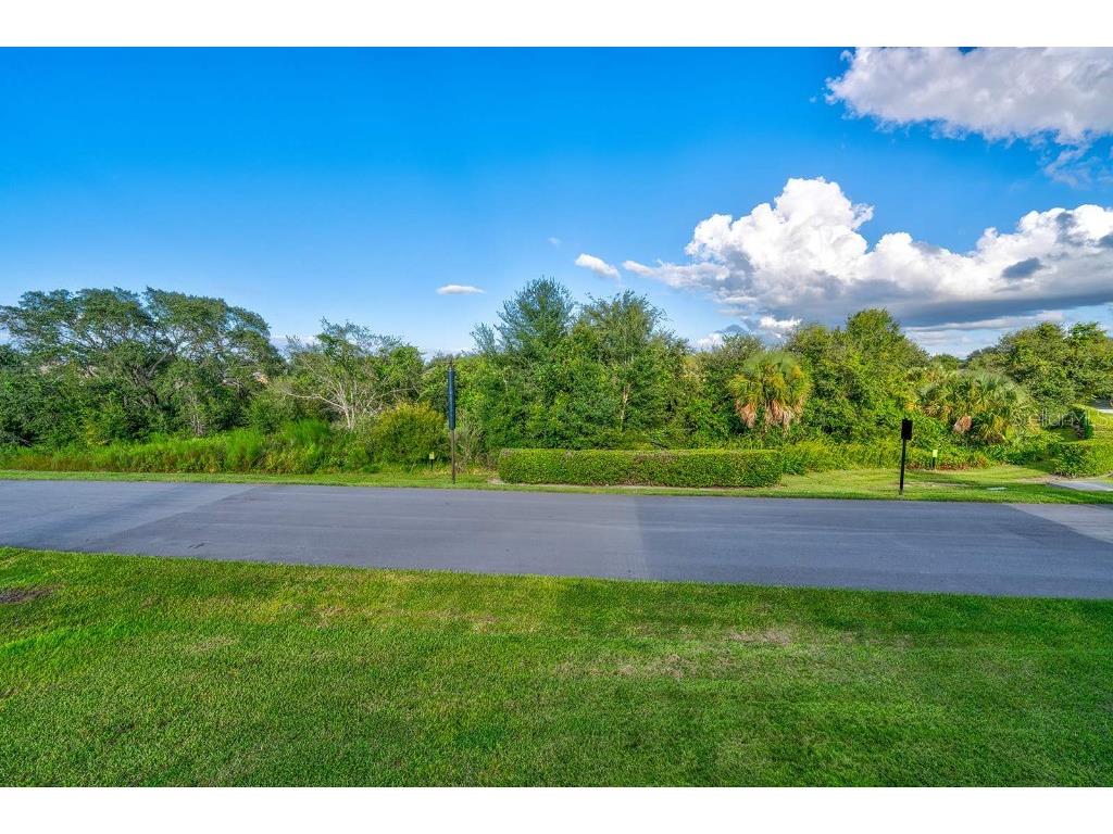 17521 Blessing Drive Clermont FL 34714 TB8441067 image47