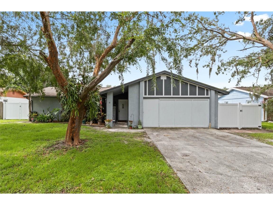 17521 Brandywine Drive Lutz FL 33549 A4618809 image1