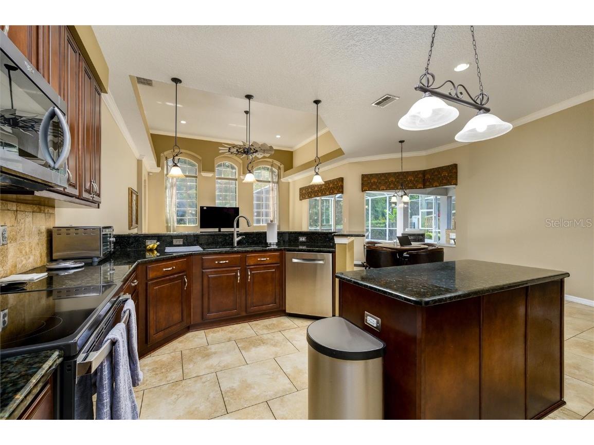 17521 Edinburgh Drive Tampa FL 33647 TB8432449 image14