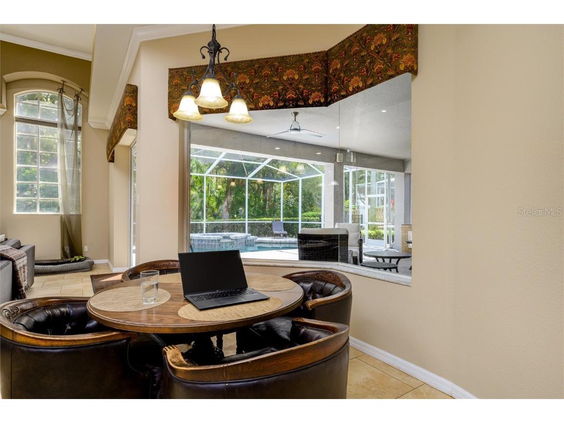 17521 Edinburgh Drive Tampa FL 33647 TB8432449 image15