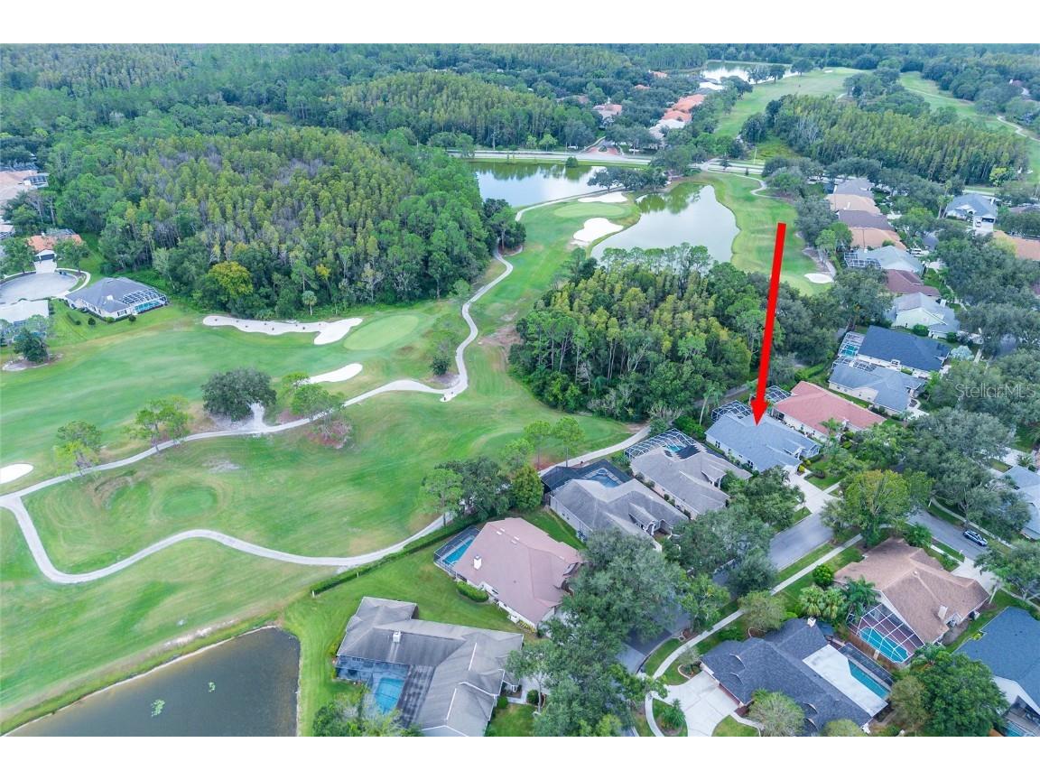 17521 Edinburgh Drive Tampa FL 33647 TB8432449 image44