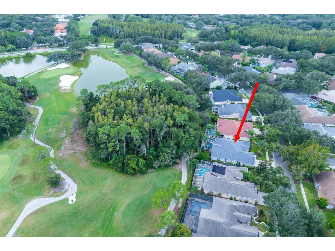 17521 Edinburgh Drive Tampa FL 33647 TB8454392 image43