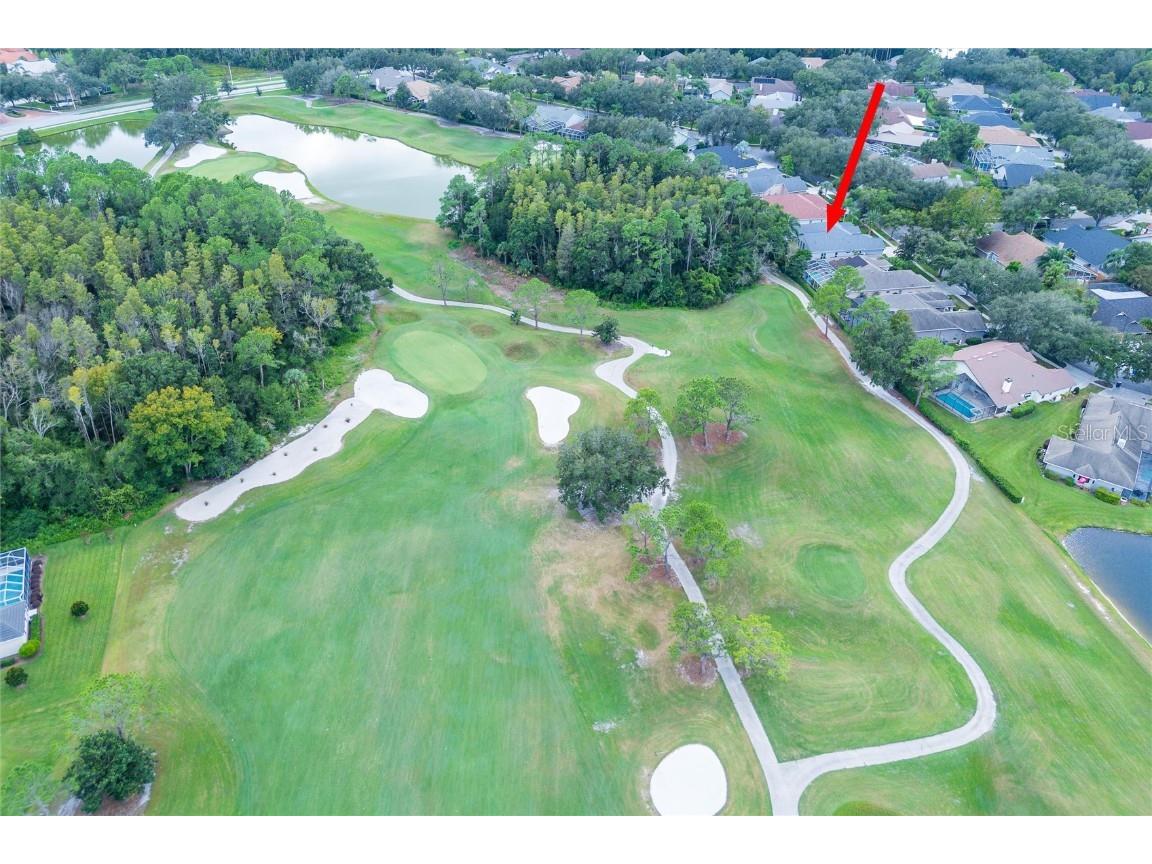 17521 Edinburgh Drive Tampa FL 33647 TB8454392 image45