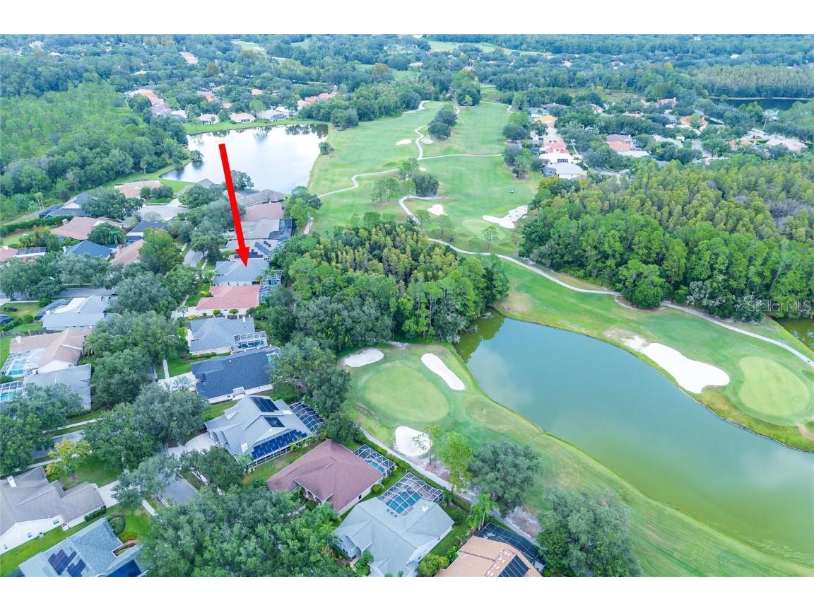 17521 Edinburgh Drive Tampa FL 33647 TB8454392 image46