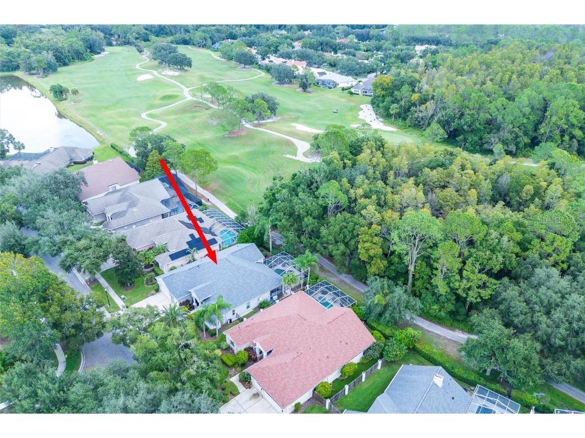 17521 Edinburgh Drive Tampa FL 33647 TB8454392 image47