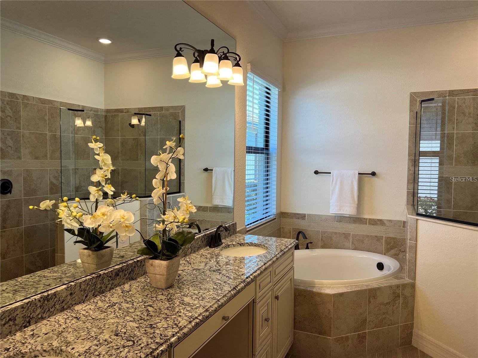 17521 Hickok Belt Loop Bradenton FL 34211 A4692841 image13