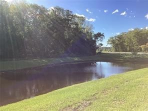 17522 Nectar Flume Drive Land O Lakes FL 34638 W7885585 image12
