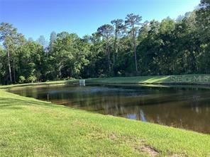17522 Nectar Flume Drive Land O Lakes FL 34638 W7885585 image13