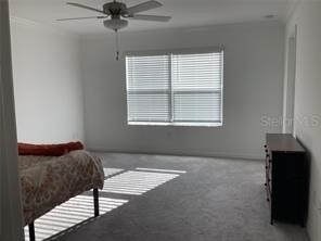 17522 Nectar Flume Drive Land O Lakes FL 34638 W7885585 image6