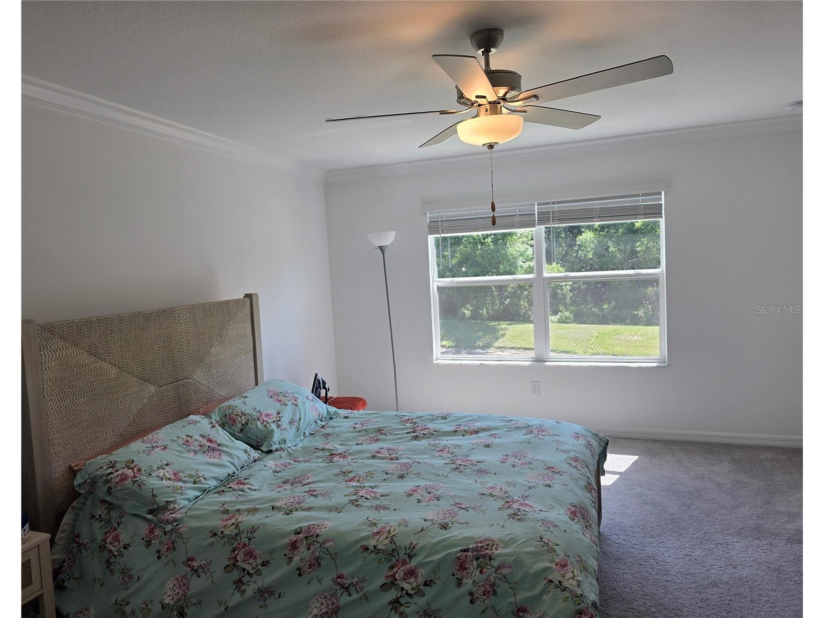 17522 Nectar Flume Drive Land O Lakes FL 34638 W7885585 image8