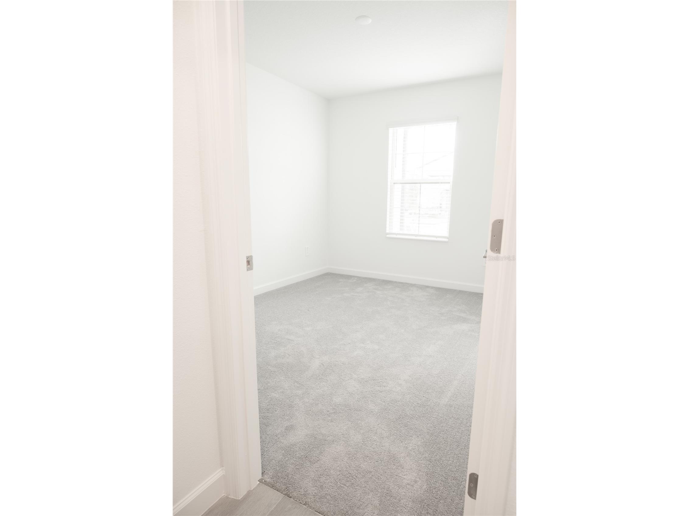 17523 Holly Well Avenue Wimauma FL 33598 TB8329292 image18