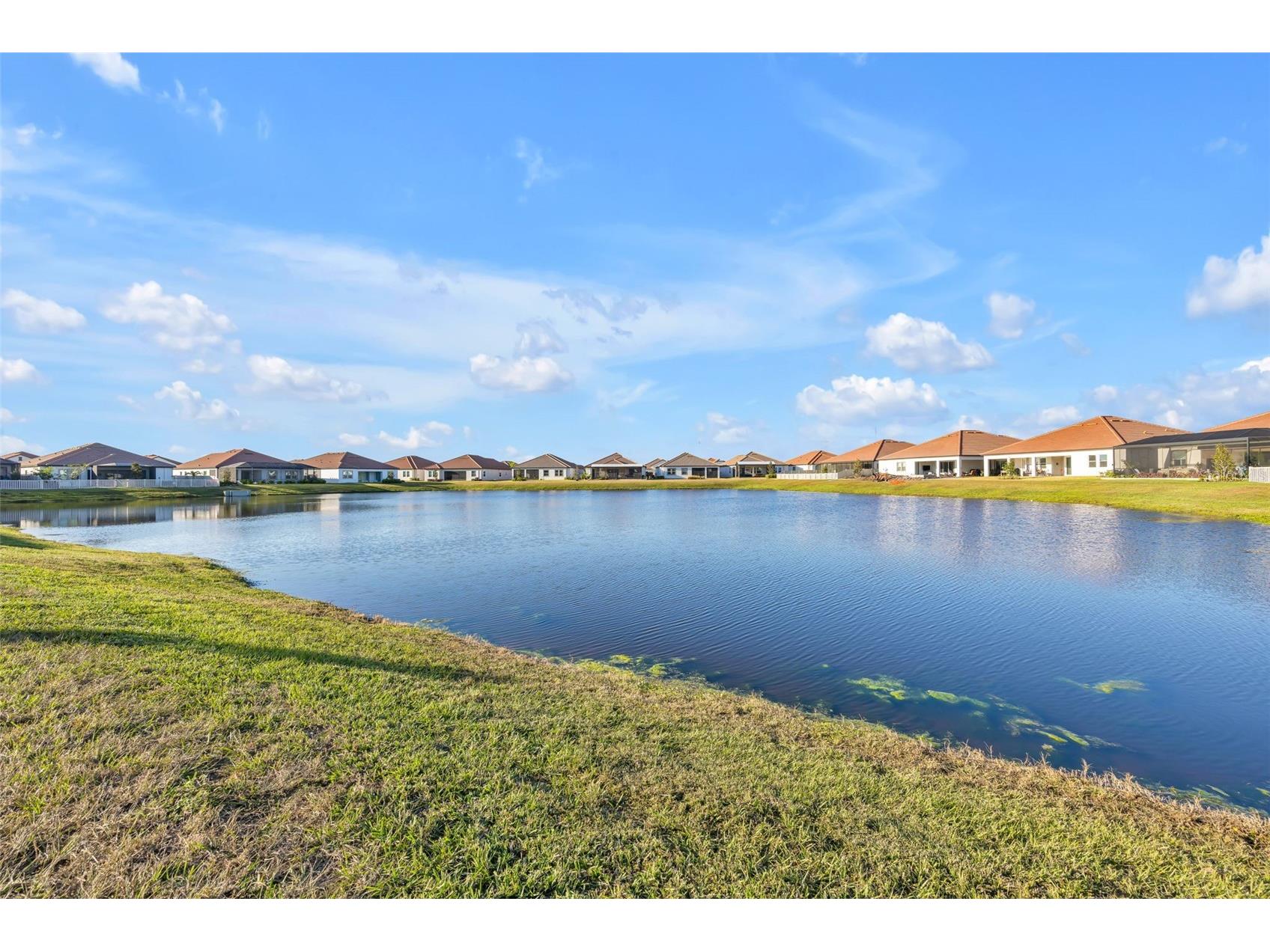 17523 Holly Well Avenue Wimauma FL 33598 TB8329292 image25