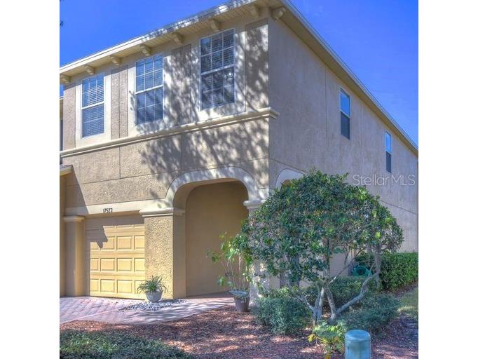 17523 Stinchar Drive #17523 Land O Lakes FL 34638 T3424045 image1