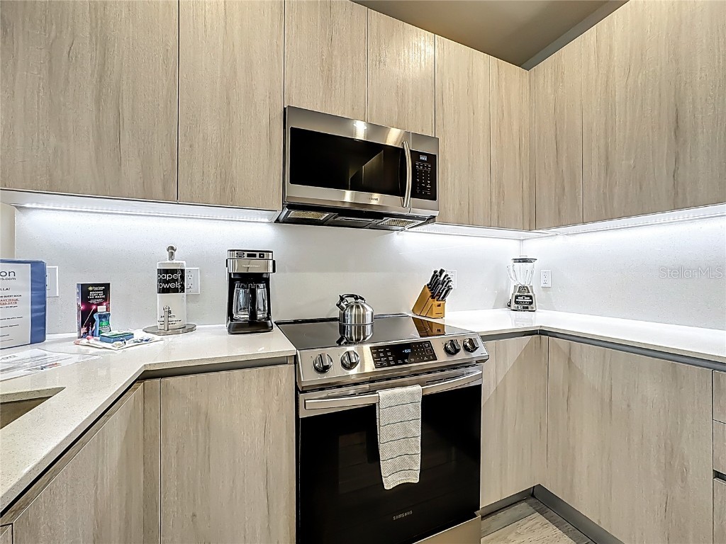 17524 Hidden Forest Drive Clermont FL 34714 O6353391 image9