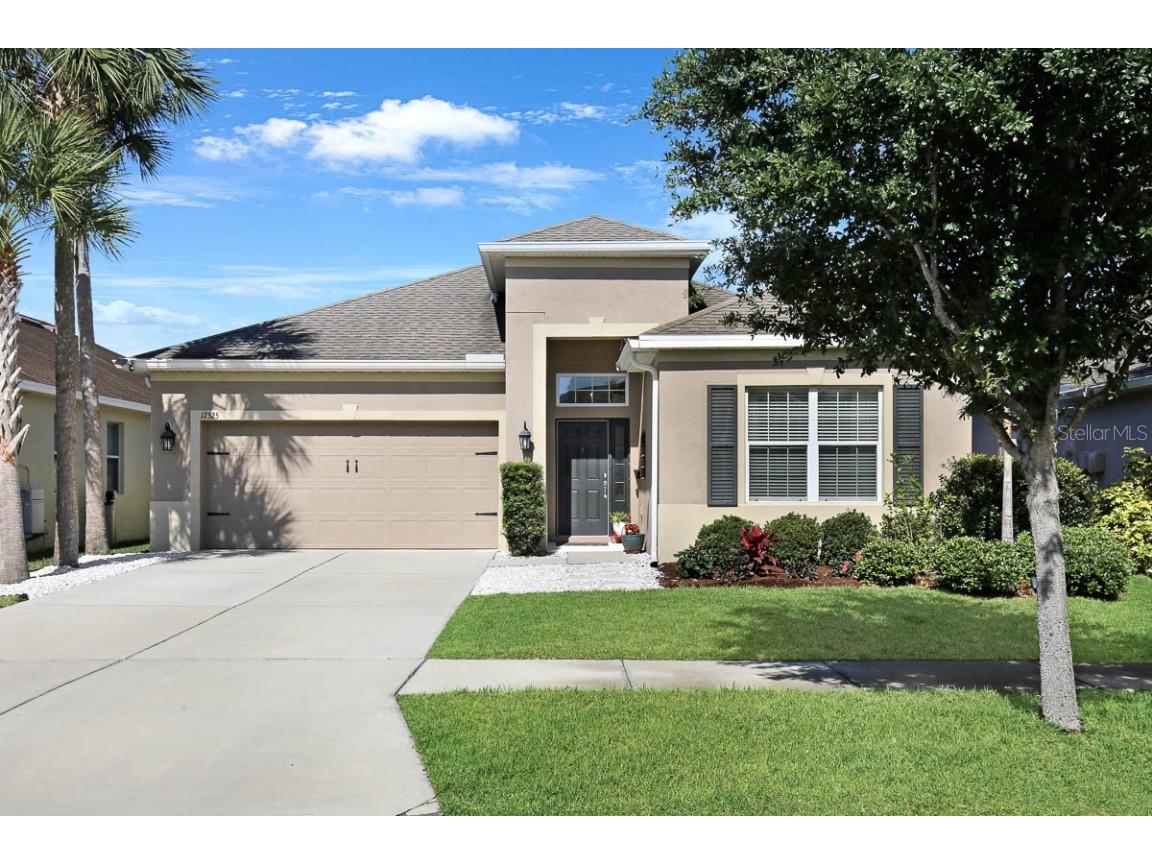 17525 Buckingham Garden Drive Lithia FL 33547 T3519846 image1