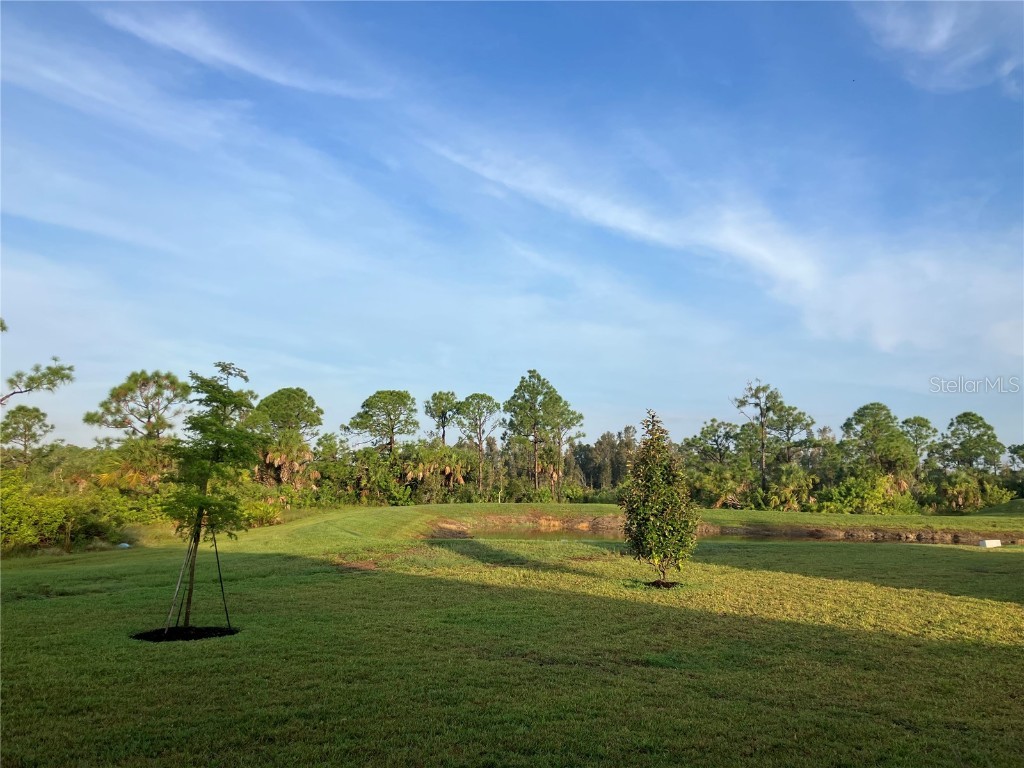 17525 Jadestone Court Venice FL 34293 N6139269 image48