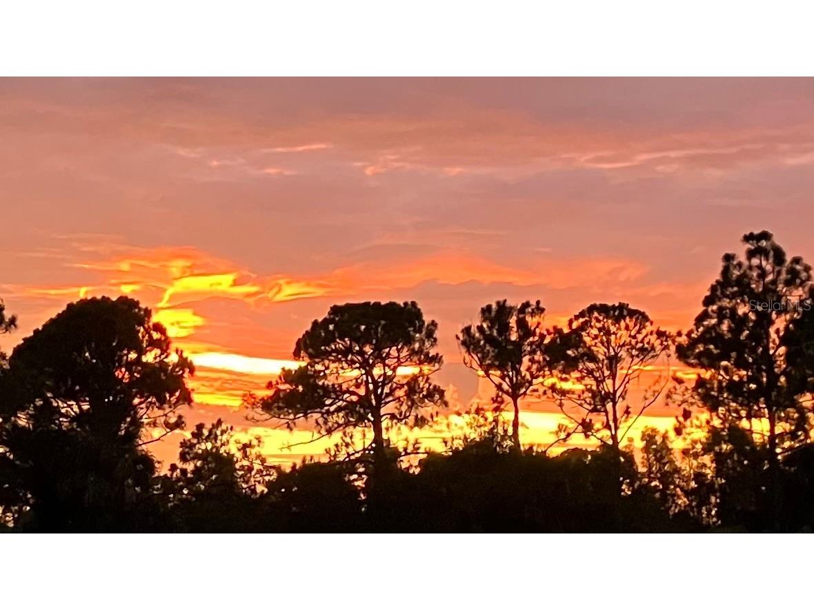 17525 Jadestone Court Venice FL 34293 N6139269 image49