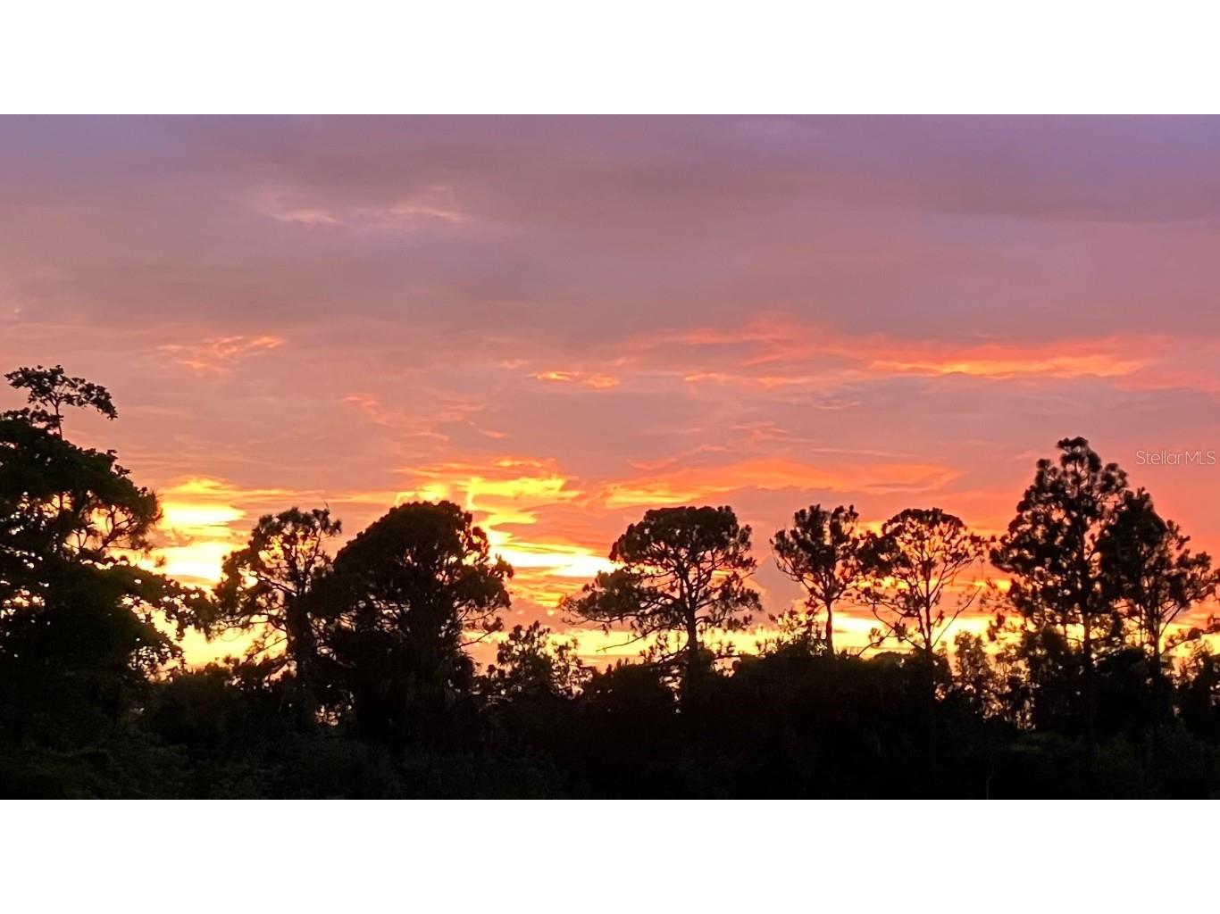 17525 Jadestone Court Venice FL 34293 N6139269 image50