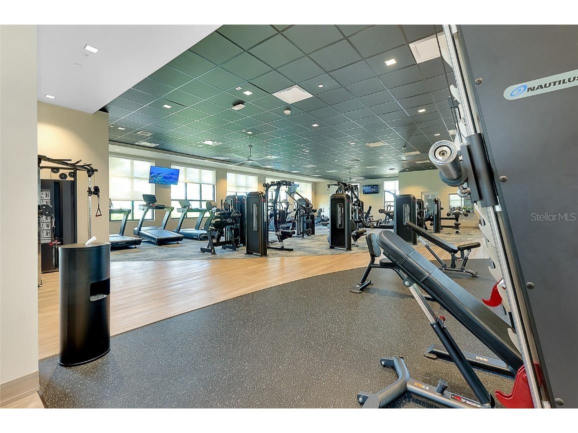 17525 Jadestone Court Venice FL 34293 N6139269 image64