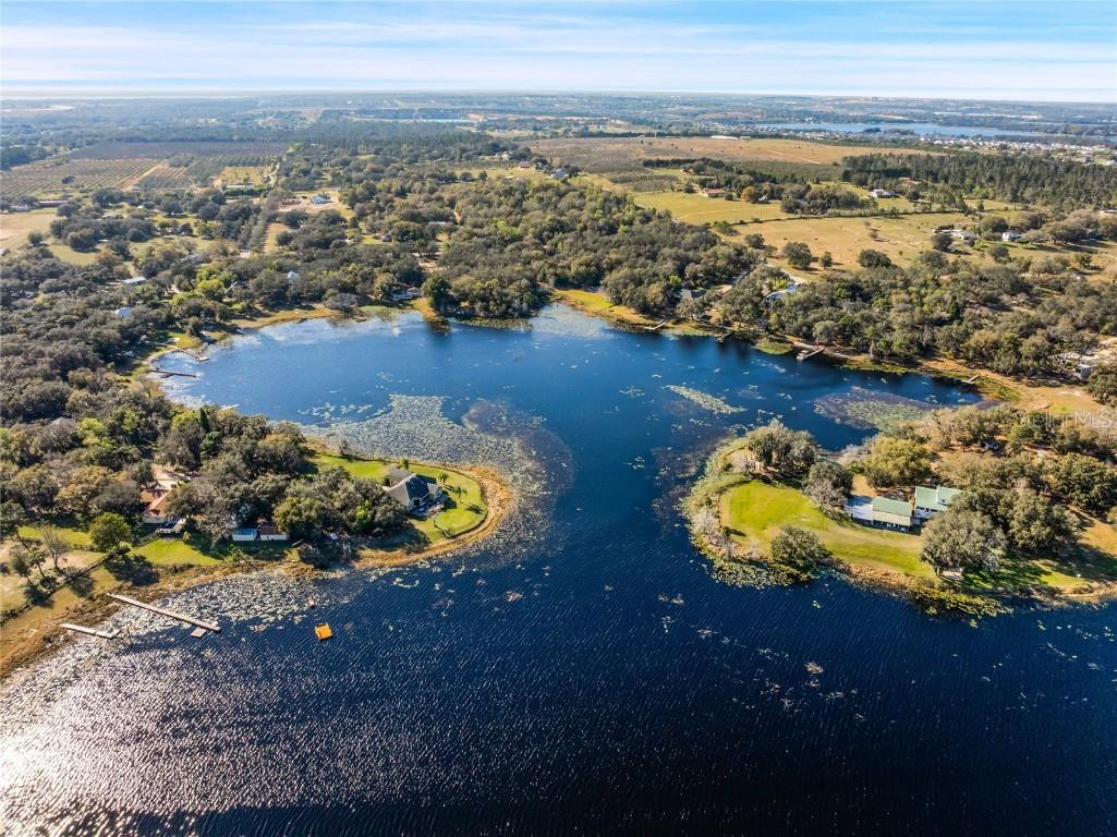 17525 Seidner Road Winter Garden FL 34787 - LAKE AVALON O6178852 image1