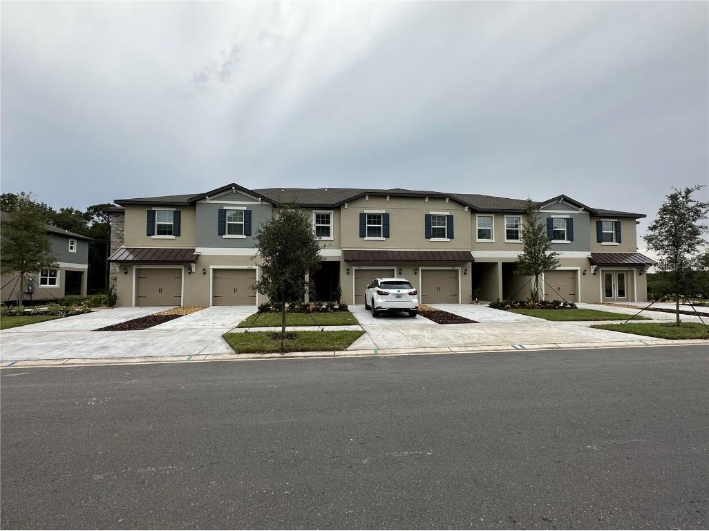 17526 Nectar Flume Drive Land O Lakes FL 34638 O6128387 image1