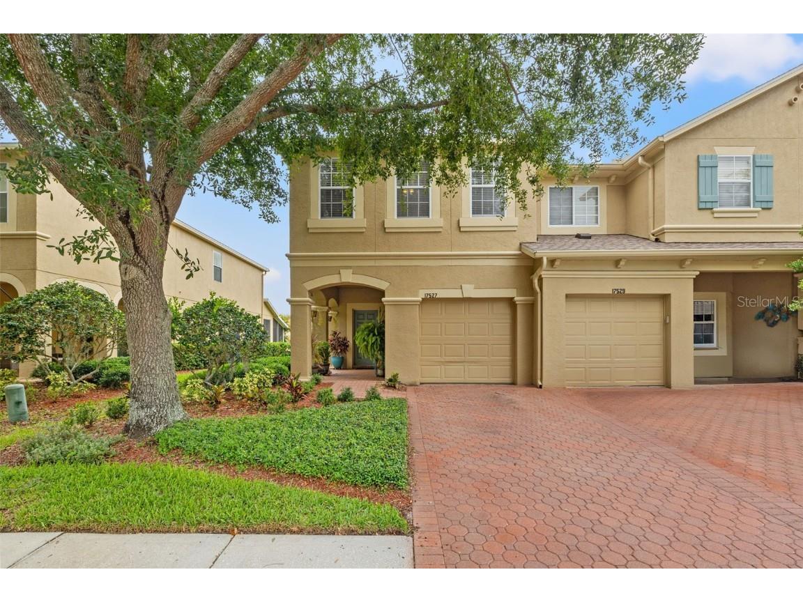 17527 Stinchar Drive Land O Lakes FL 34638 TB8392692 image1
