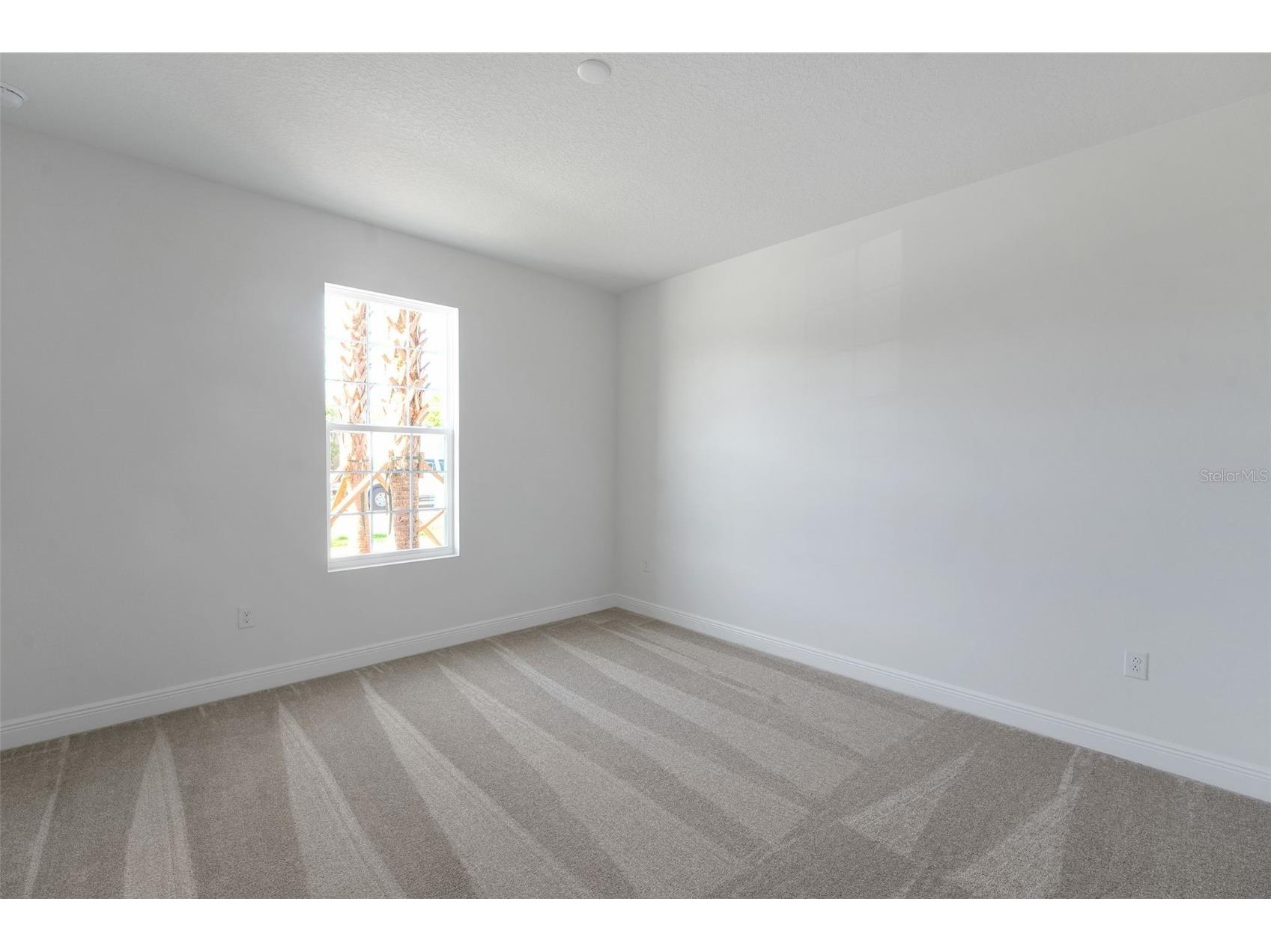 17527 Valleywood Parkway Land O Lakes FL 34638 G5110065 image10