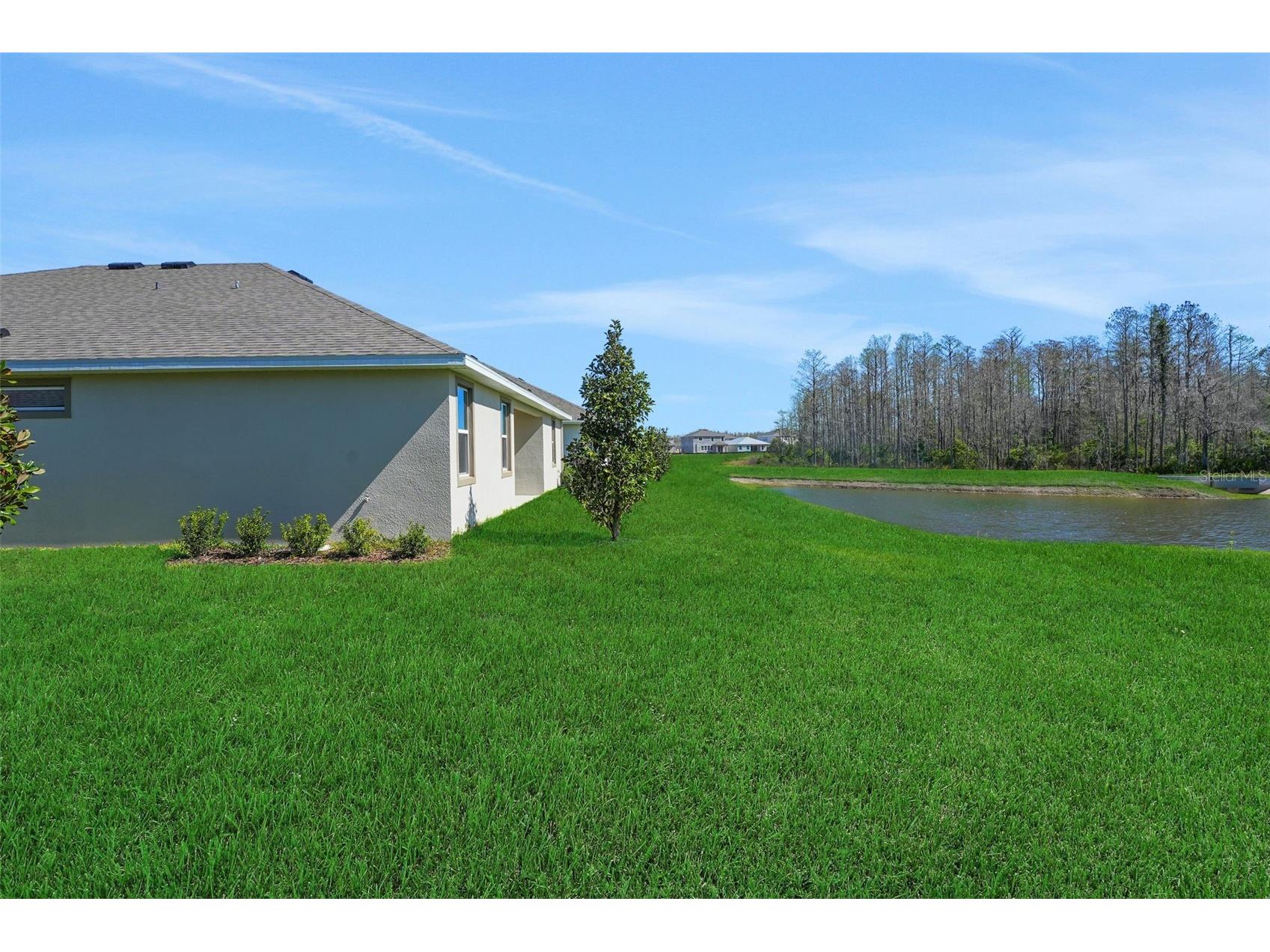17527 Valleywood Parkway Land O Lakes FL 34638 G5110065 image38