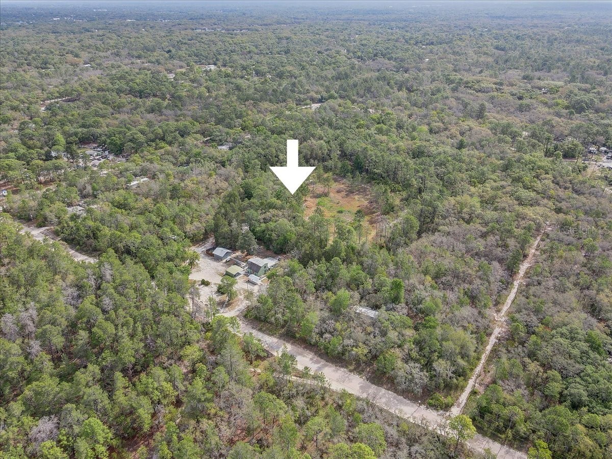 17528 Coyote Road Hudson FL 34667 TB8499664 image39