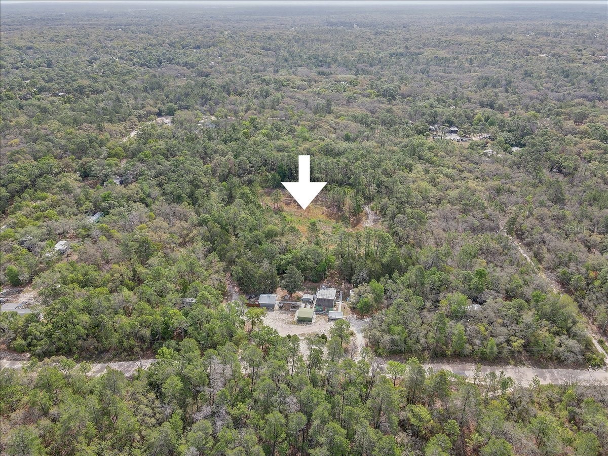 17528 Coyote Road Hudson FL 34667 TB8499664 image40