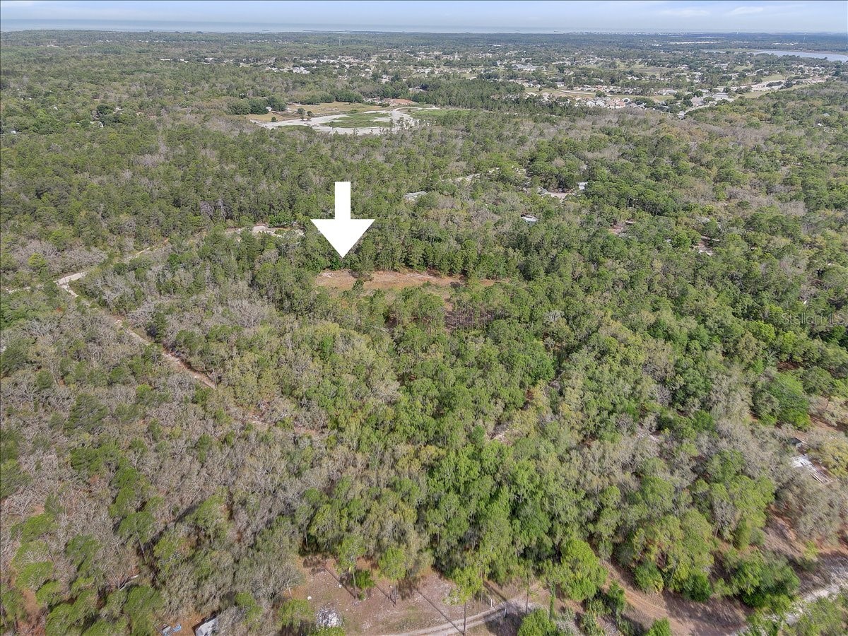 17528 Coyote Road Hudson FL 34667 TB8499664 image41