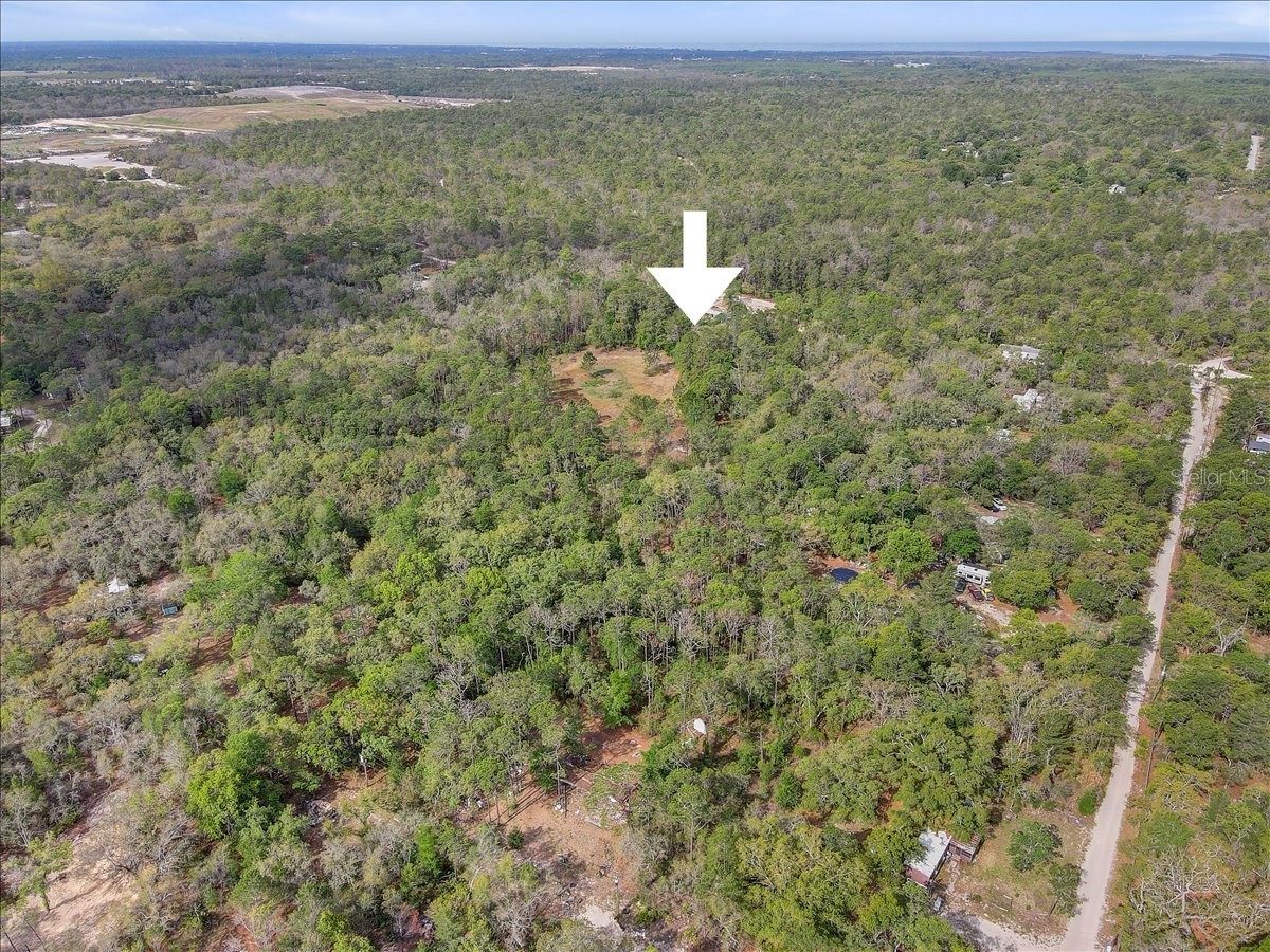 17528 Coyote Road Hudson FL 34667 TB8499664 image42