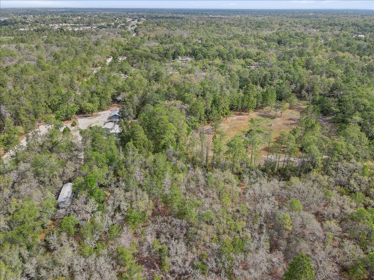 17528 Coyote Road Hudson FL 34667 TB8499664 image50