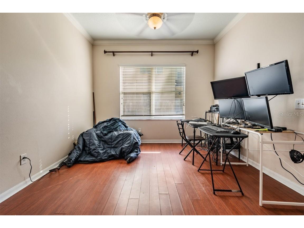 17528 Hugh Lane Land O Lakes FL 34638 TB8448226 image16