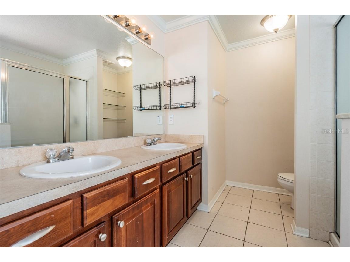 17528 Hugh Lane Land O Lakes FL 34638 TB8448226 image21