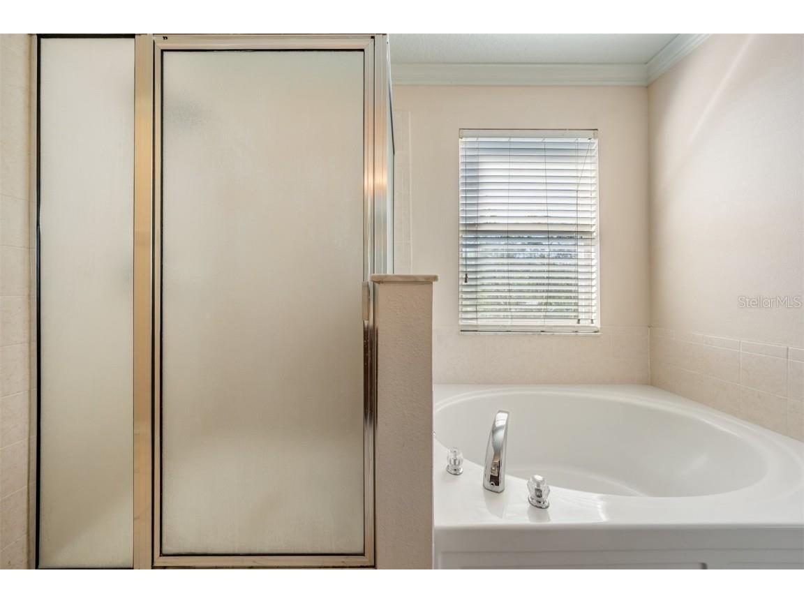 17528 Hugh Lane Land O Lakes FL 34638 TB8448226 image22