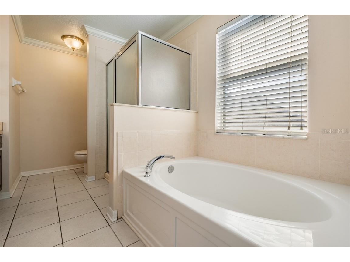 17528 Hugh Lane Land O Lakes FL 34638 TB8448226 image23