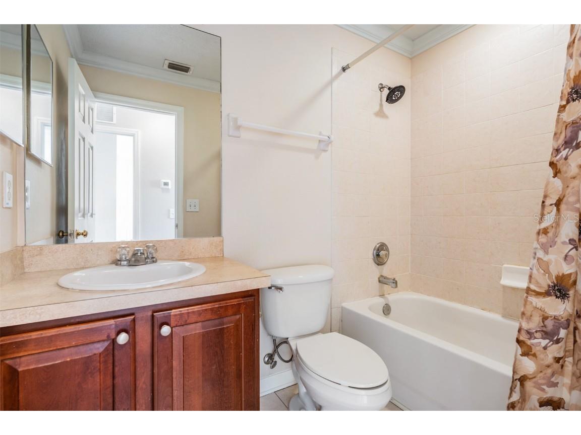 17528 Hugh Lane Land O Lakes FL 34638 TB8448226 image26